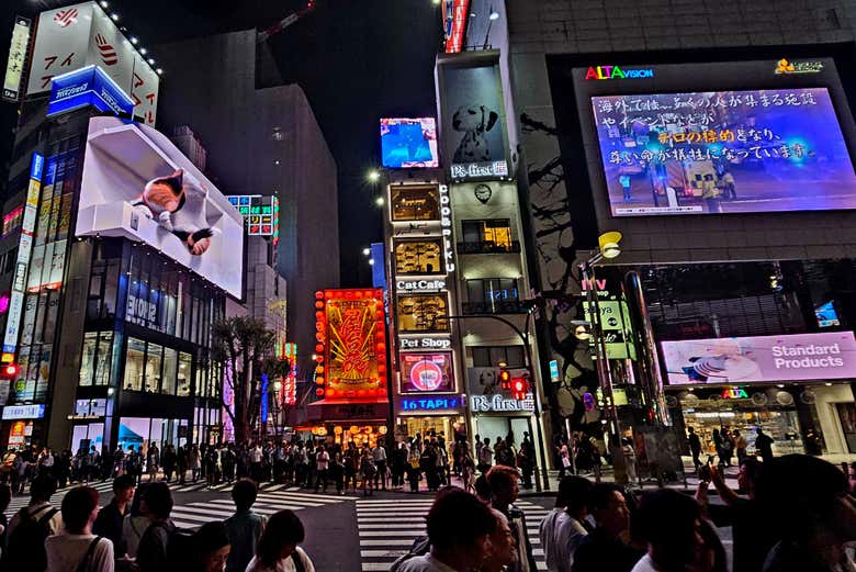Free tour por Shinjuku