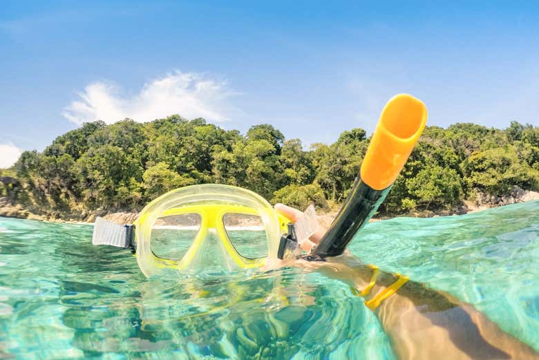 Snorkel en Bayahíbe