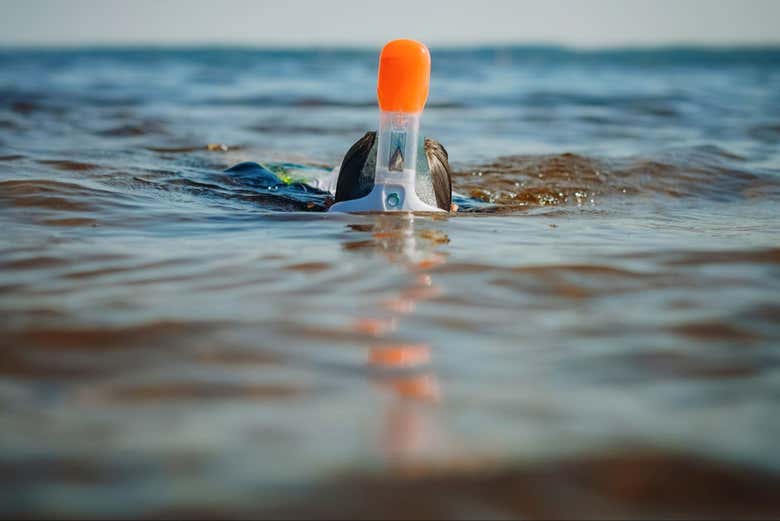 Snorkel en Bayahíbe