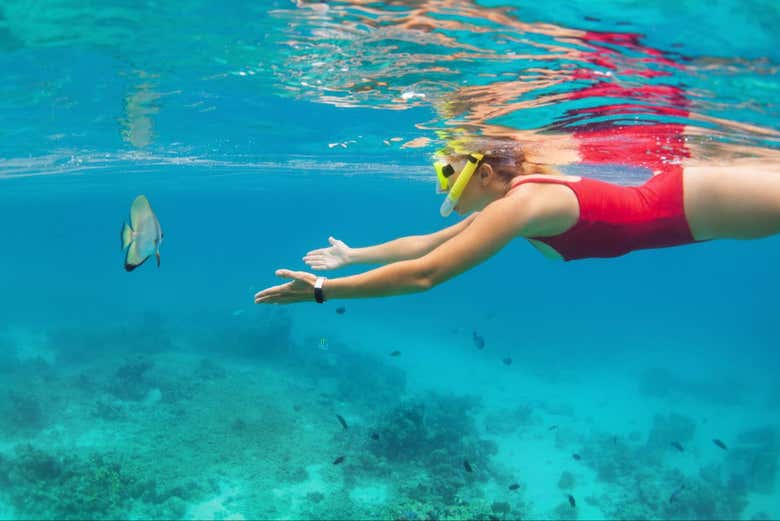Snorkel en Bayahíbe
