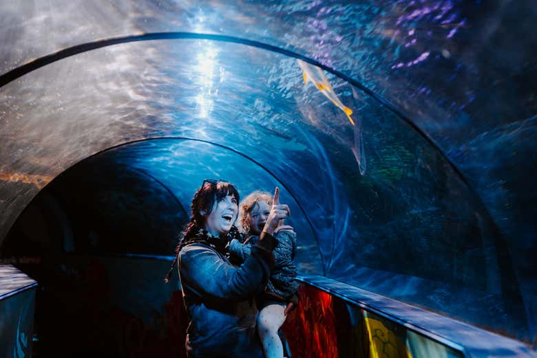 Entrada a SEA LIFE® Weymouth
