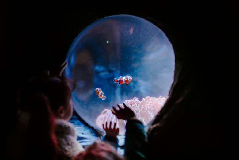 Entrada a SEA LIFE® Weymouth