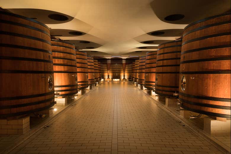 Visita a las bodegas Marco Real