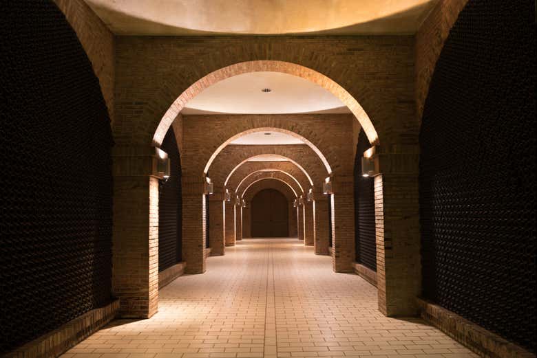 Visita a las bodegas Marco Real