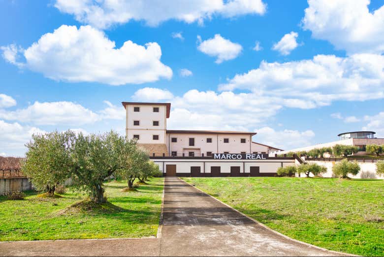 Visita a las bodegas Marco Real