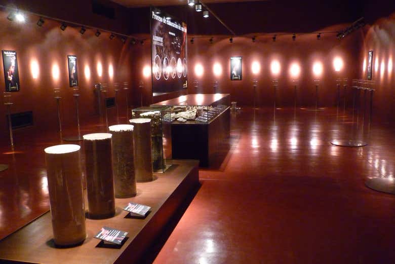 Visita a las bodegas Marco Real