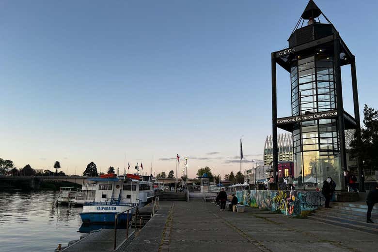 Tour de la cerveza por Valdivia
