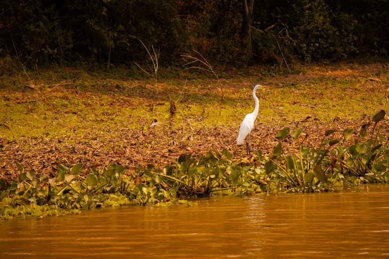 Paseo en barco por el río Bermejito + Senderismo