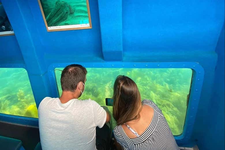 Paseo en barco con fondo de cristal