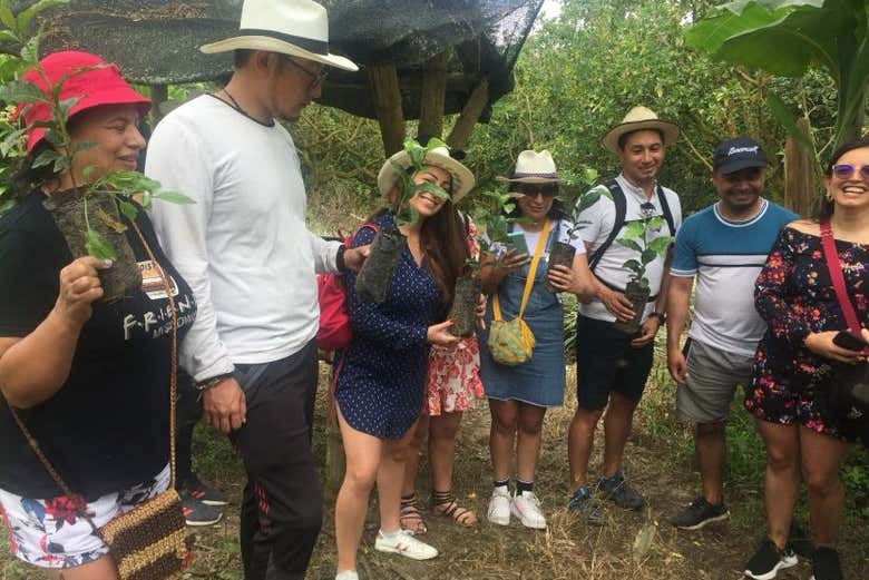 Visita a la finca cafetera El Balcón