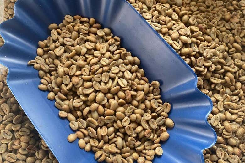 Visita a la finca cafetera El Balcón