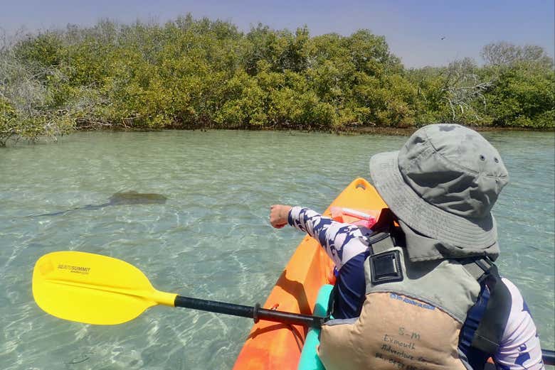 Tour en kayak por Exmouth