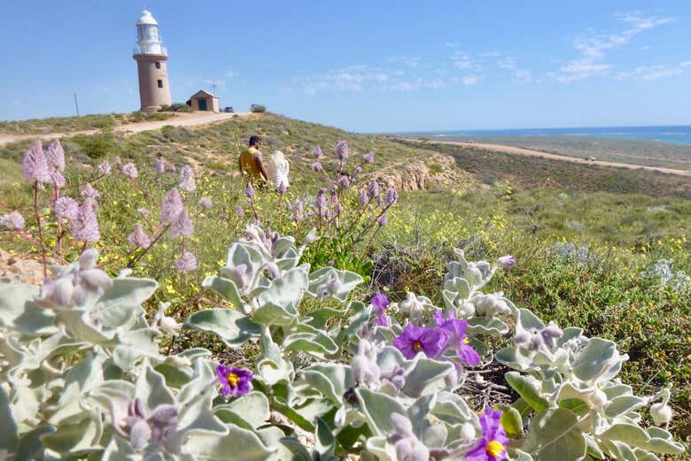 Excursión a Ningaloo