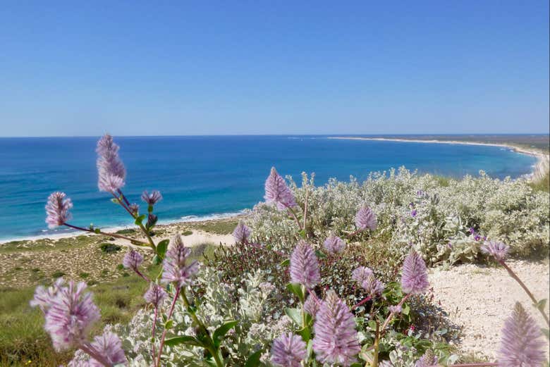 Excursión a Ningaloo