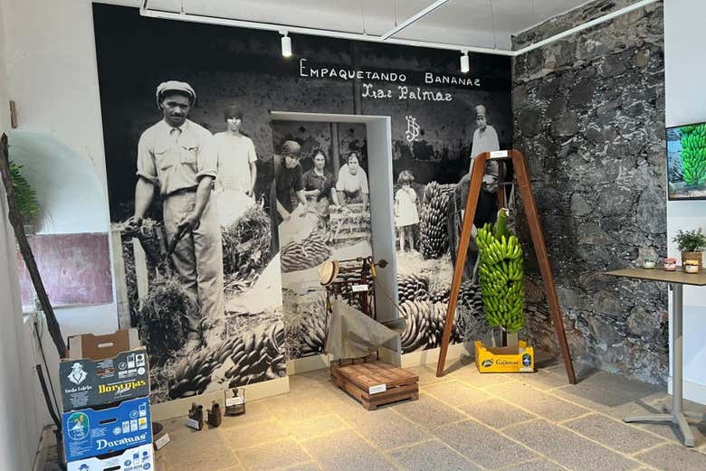 Tour gastronómico por Gran Canaria