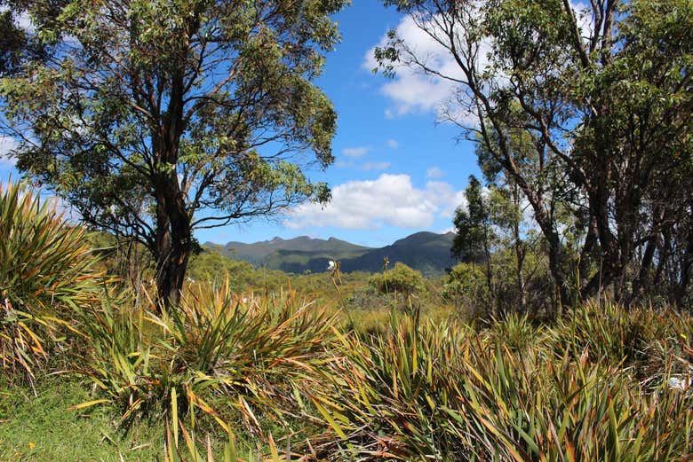 Excursión al Parque Nacional Cradle Mountain