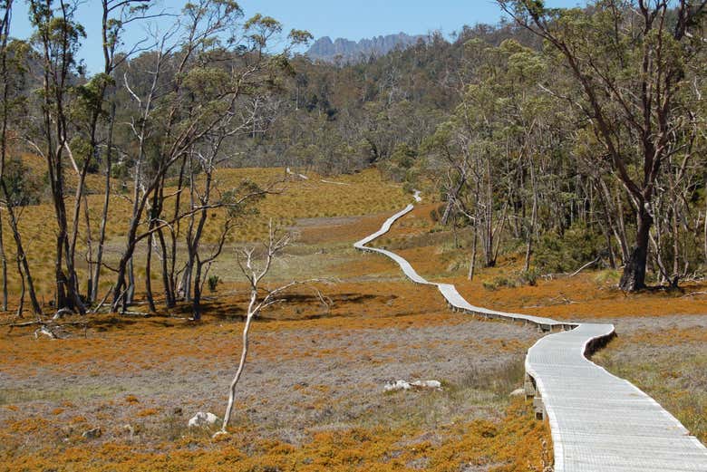 Excursión al Parque Nacional Cradle Mountain