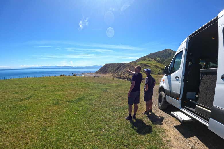 Tour en 4x4 por la costa de Wellington + Avistamiento de focas