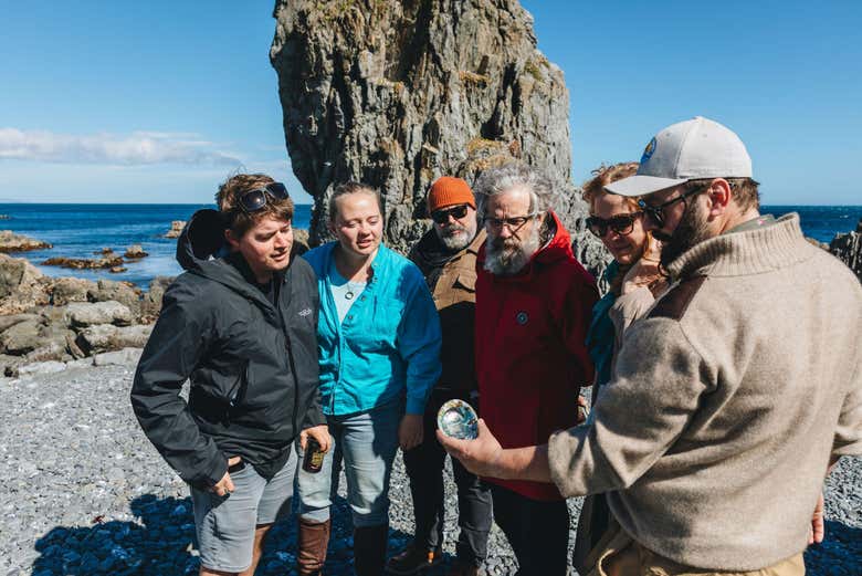 Tour en 4x4 por la costa de Wellington + Avistamiento de focas