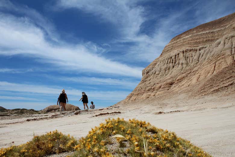 Tour en 4x4 por Rocas Coloradas