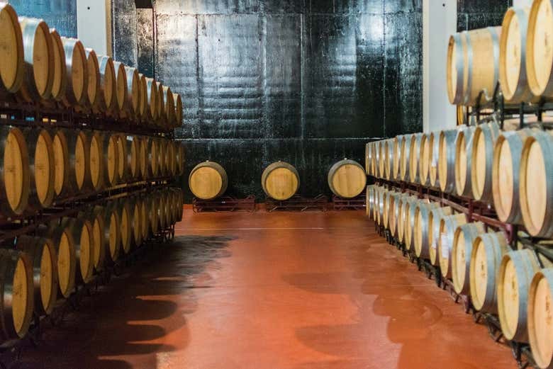 Visita a la bodega Leyenda del Páramo