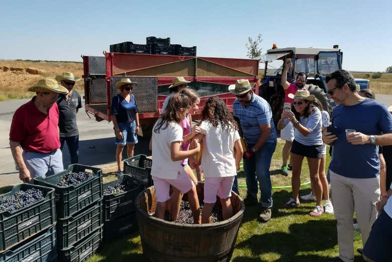 Visita a la bodega Leyenda del Páramo