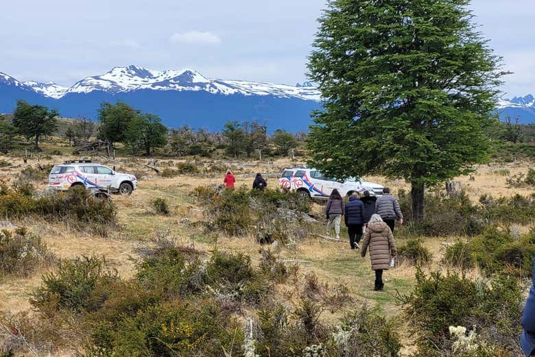 Ruta de la Centolla + Avistamiento de pingüinos en la isla Martillo - Galería 1