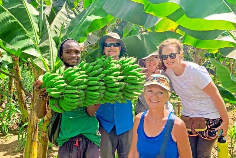 Visita a una plantación de plátanos + Clase de cocina