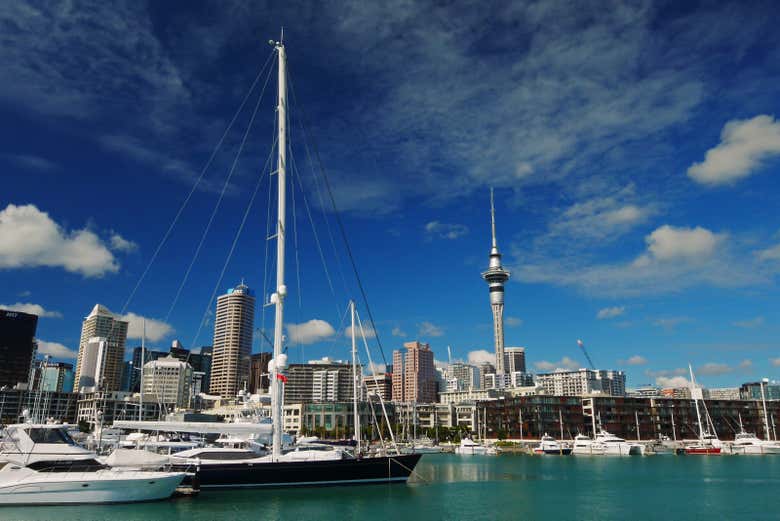 Tour privado por Auckland