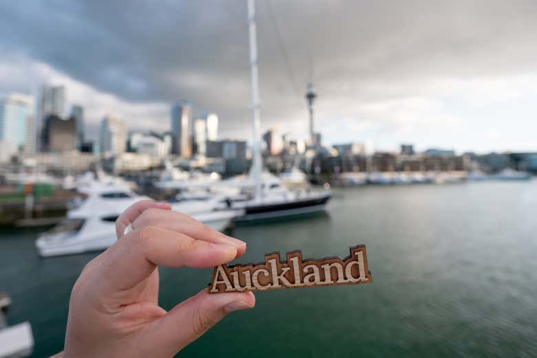 Tour privado por Auckland