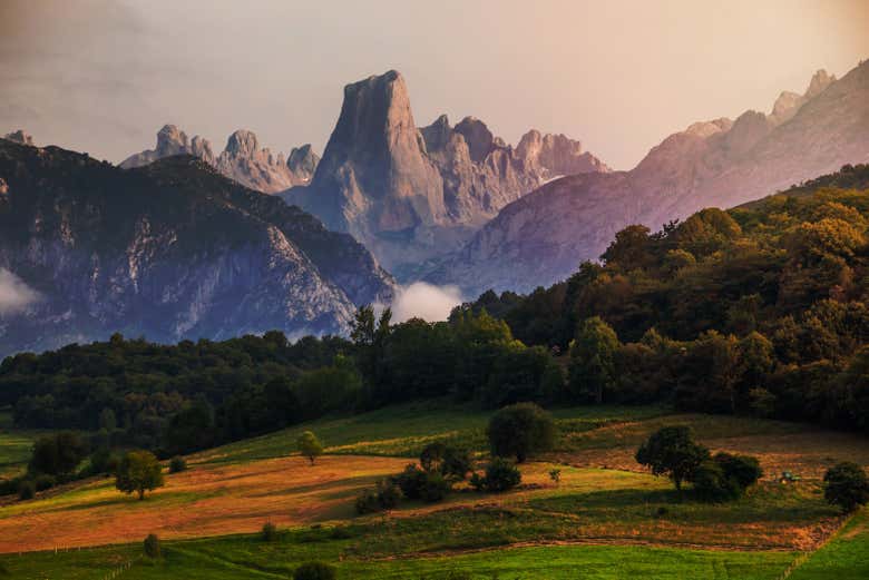 Excursión a los Picos de Europa + Cueva del Queso de Cabrales con degustación
