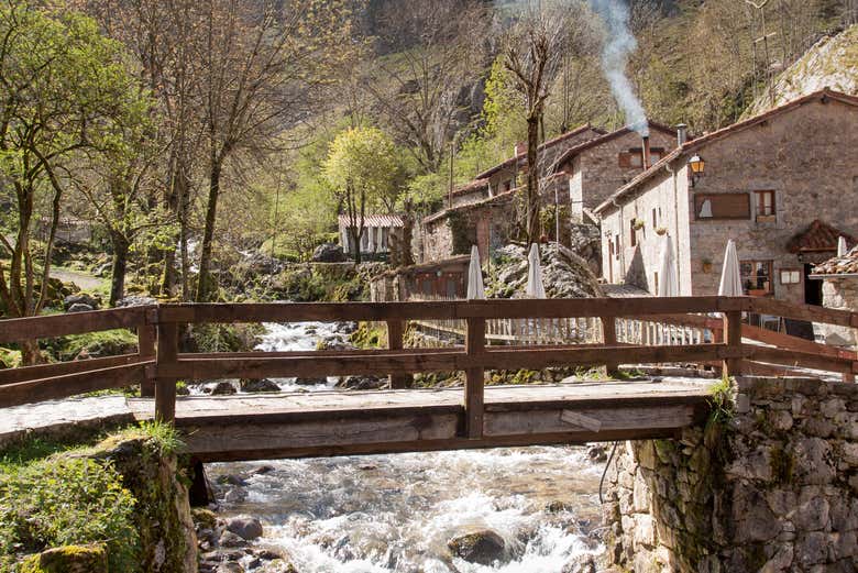 Excursión a los Picos de Europa + Cueva del Queso de Cabrales con degustación