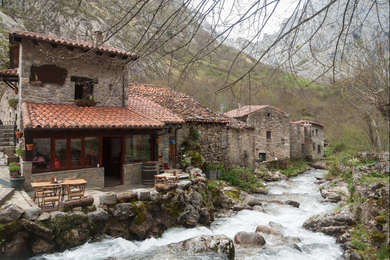 Excursión a los Picos de Europa + Cueva del Queso de Cabrales con degustación