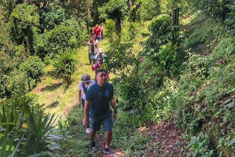 Trekking por el volcán de Santa Ana