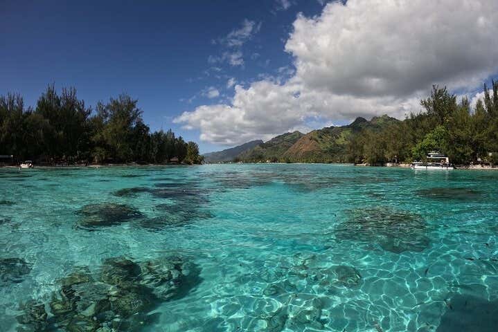 Seawalker en Moorea