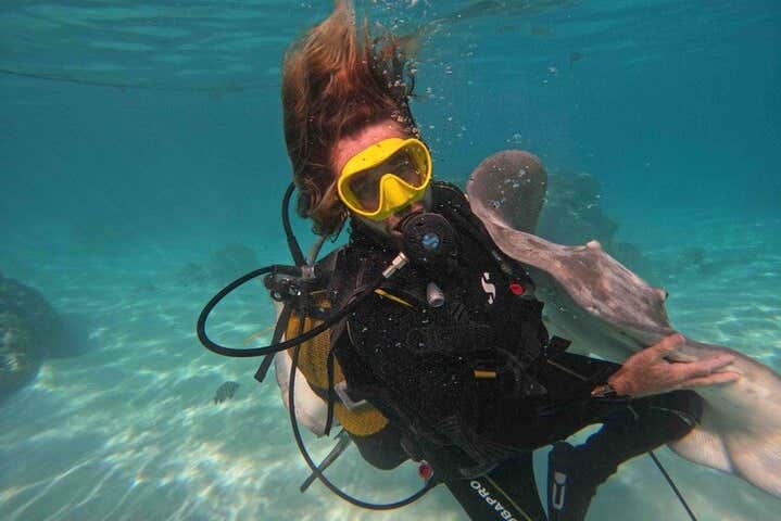 Seawalker en Moorea