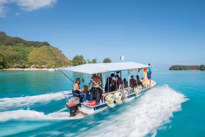 Seawalker en Moorea