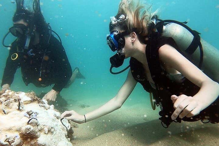 Bautismo de buceo en West Palm Beach