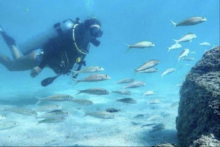 Bautismo de buceo en West Palm Beach