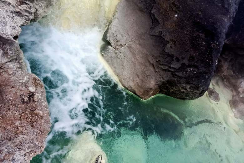 Excursión al Parque Nacional Los Nevados