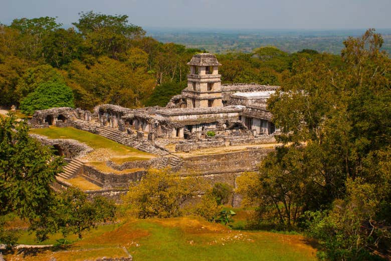 Traslado a Palenque