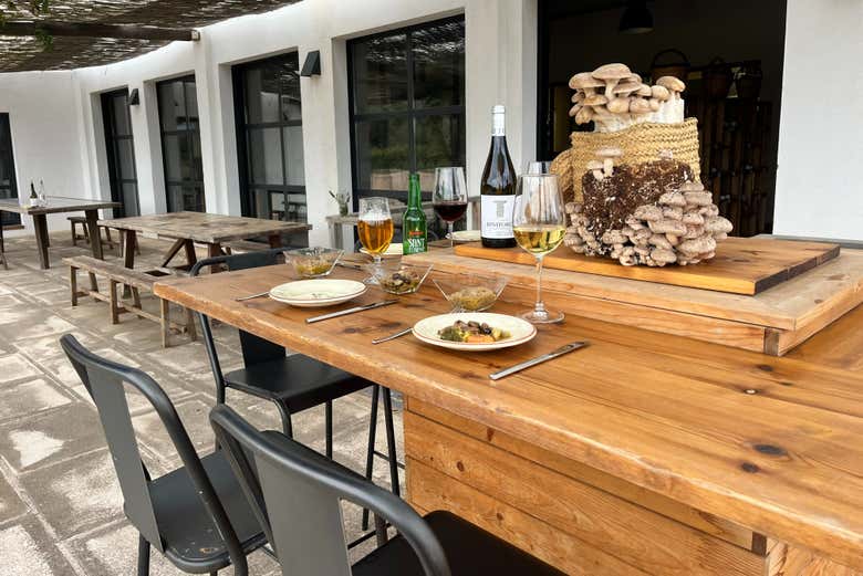Visita a una finca de setas menorquinas