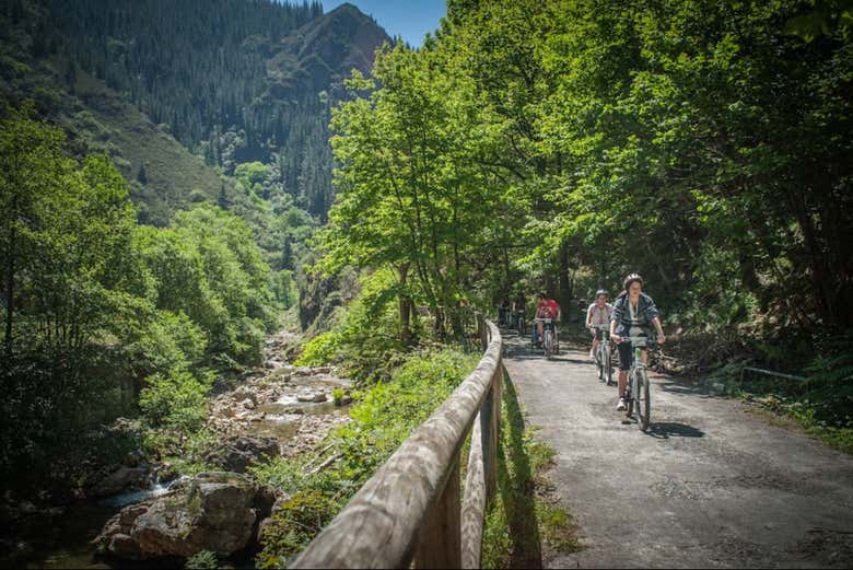 Ruta en bicicleta por la Senda del Oso