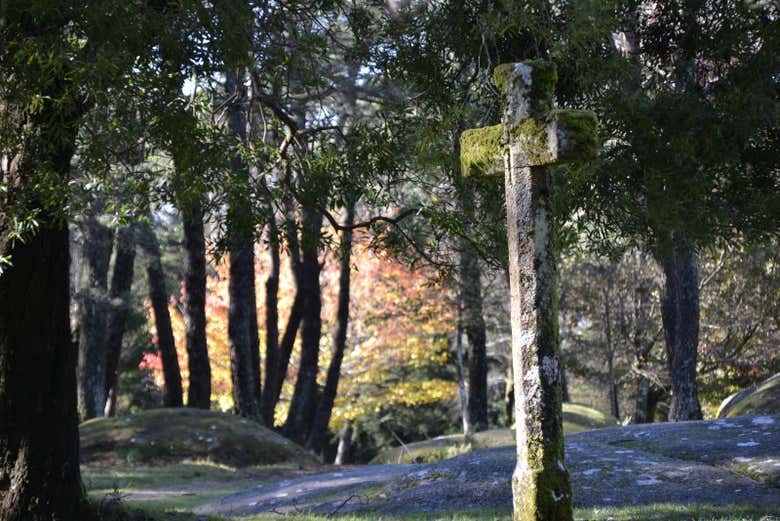 Tour por los miradores del Monte Aloia