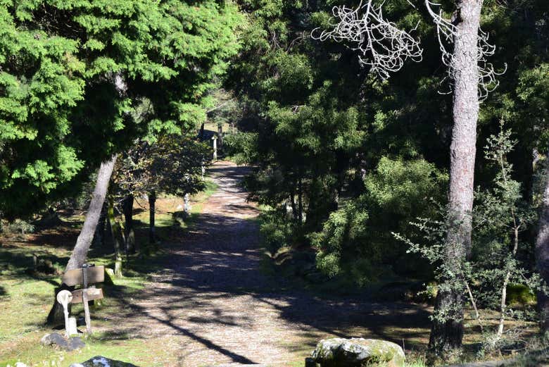 Tour por los miradores del Monte Aloia