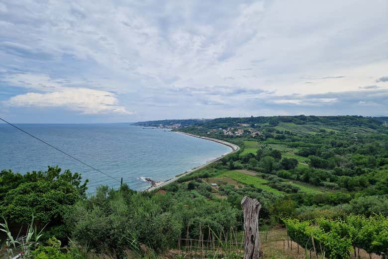 Tour en bicicleta eléctrica por la Costa dei Trabocchi