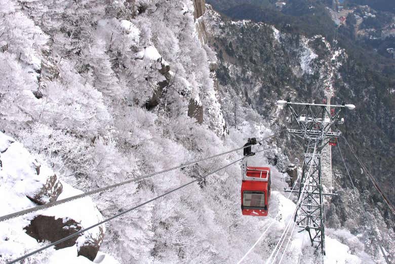 Kintetsu Rail Pass