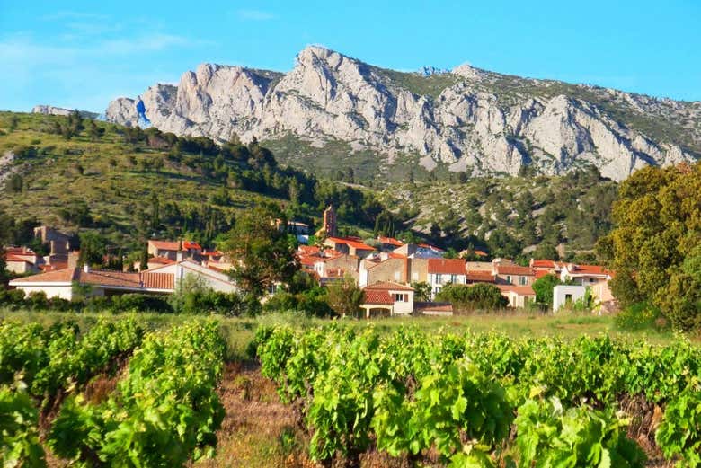 Cata de vinos en la bodega Vents du Sud
