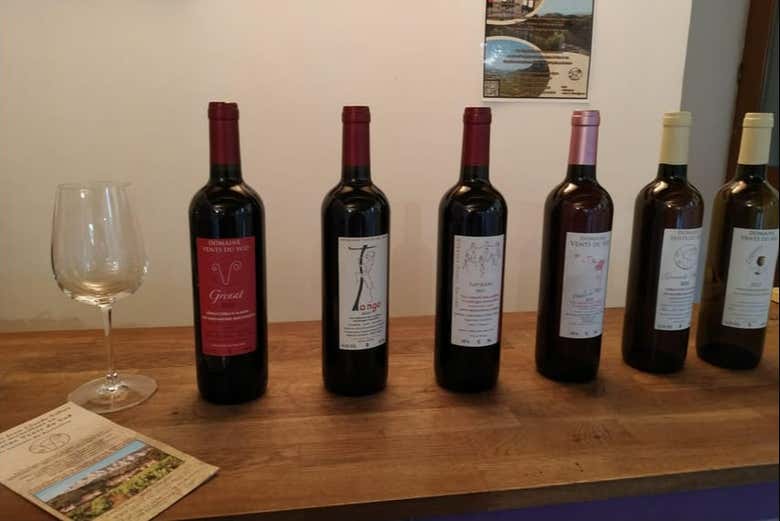 Cata de vinos en la bodega Vents du Sud