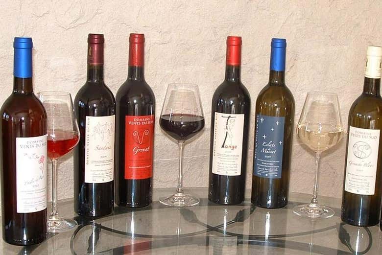 Cata de vinos en la bodega Vents du Sud